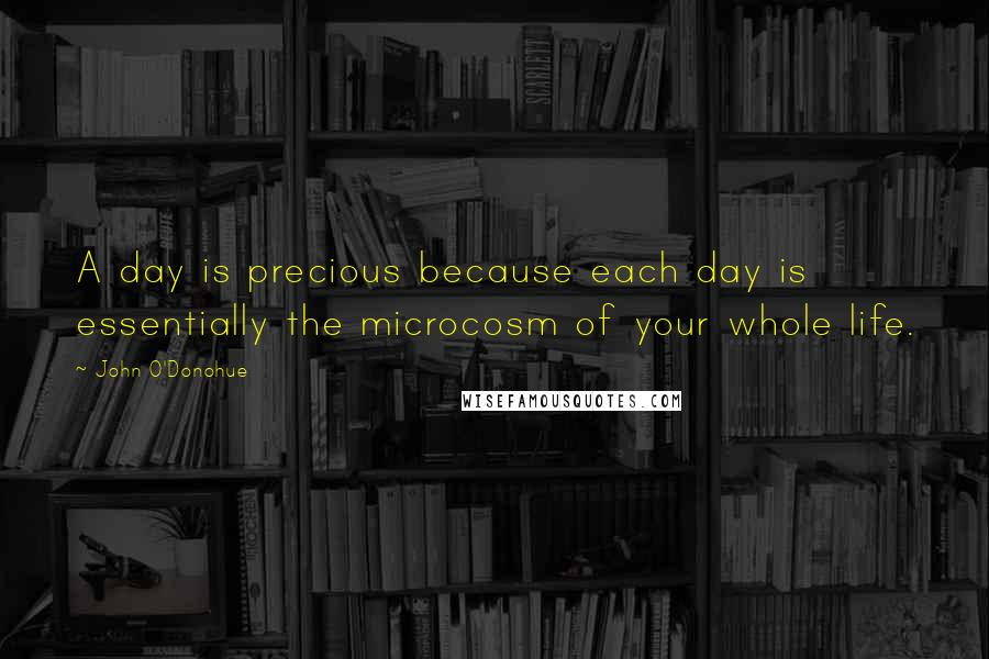 John O'Donohue Quotes: A day is precious because each day is essentially the microcosm of your whole life.