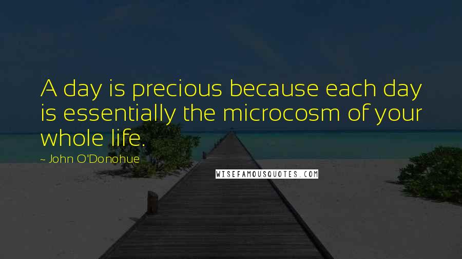 John O'Donohue Quotes: A day is precious because each day is essentially the microcosm of your whole life.