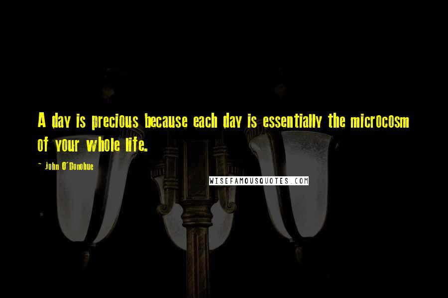 John O'Donohue Quotes: A day is precious because each day is essentially the microcosm of your whole life.