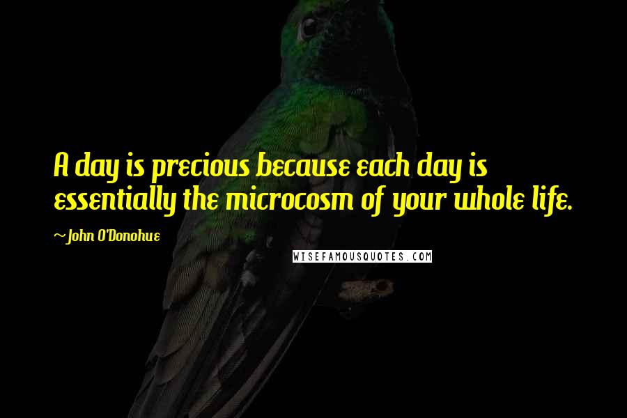 John O'Donohue Quotes: A day is precious because each day is essentially the microcosm of your whole life.