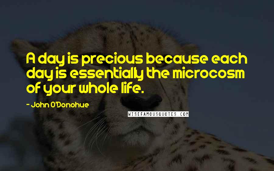 John O'Donohue Quotes: A day is precious because each day is essentially the microcosm of your whole life.