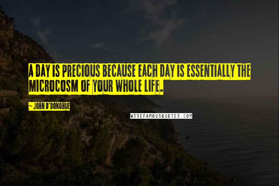 John O'Donohue Quotes: A day is precious because each day is essentially the microcosm of your whole life.