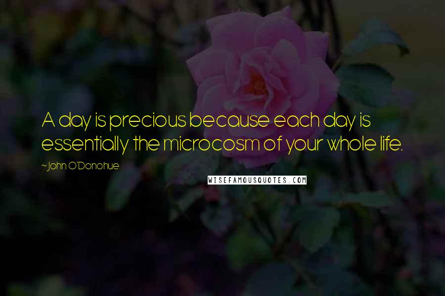 John O'Donohue Quotes: A day is precious because each day is essentially the microcosm of your whole life.