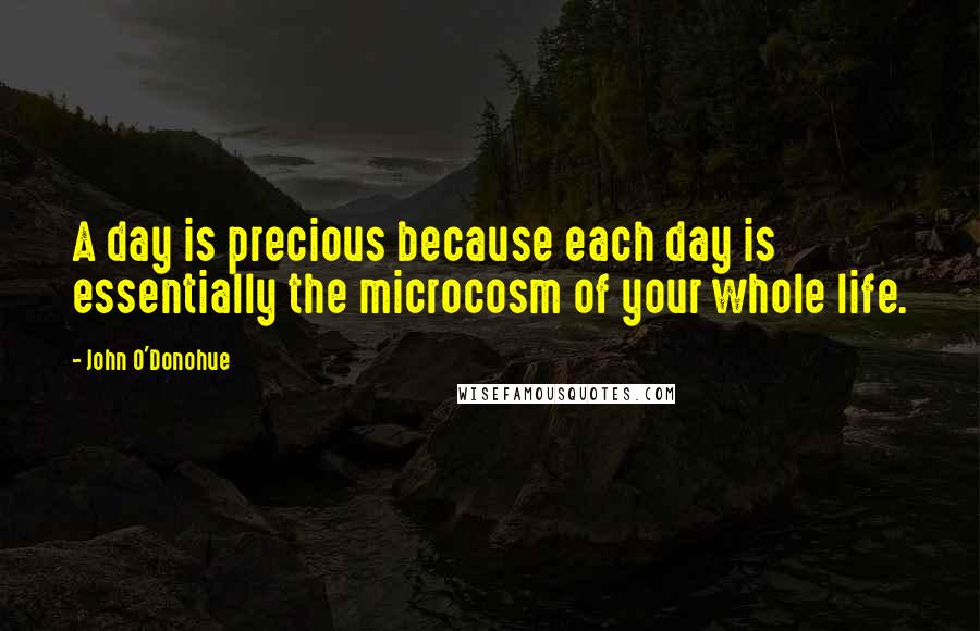 John O'Donohue Quotes: A day is precious because each day is essentially the microcosm of your whole life.