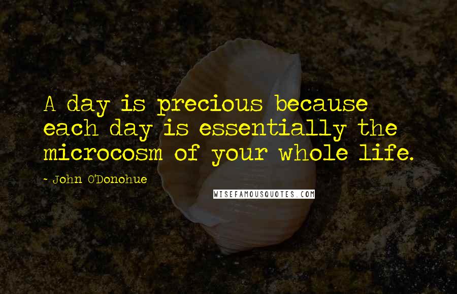 John O'Donohue Quotes: A day is precious because each day is essentially the microcosm of your whole life.