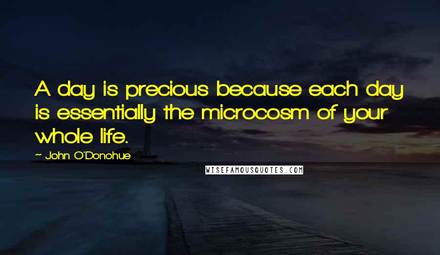 John O'Donohue Quotes: A day is precious because each day is essentially the microcosm of your whole life.
