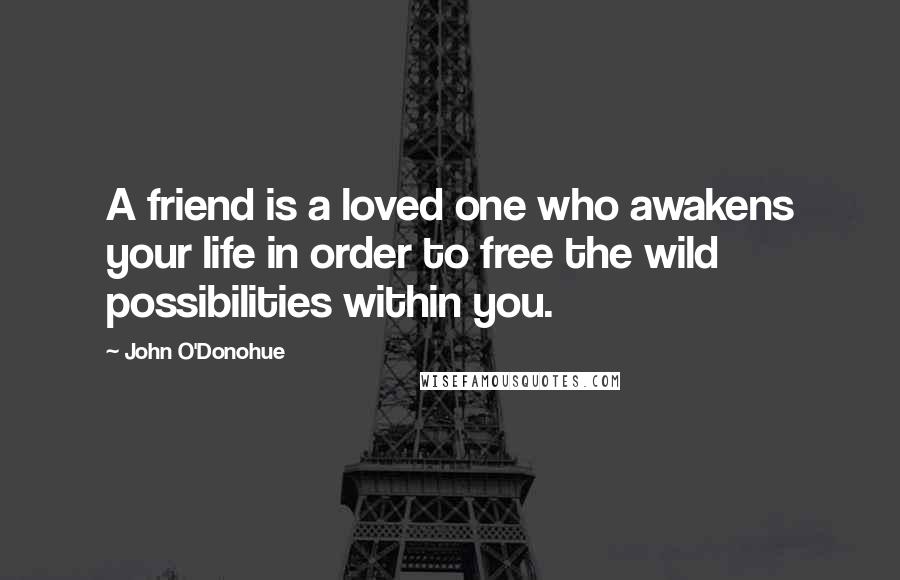 John O'Donohue Quotes: A friend is a loved one who awakens your life in order to free the wild possibilities within you.