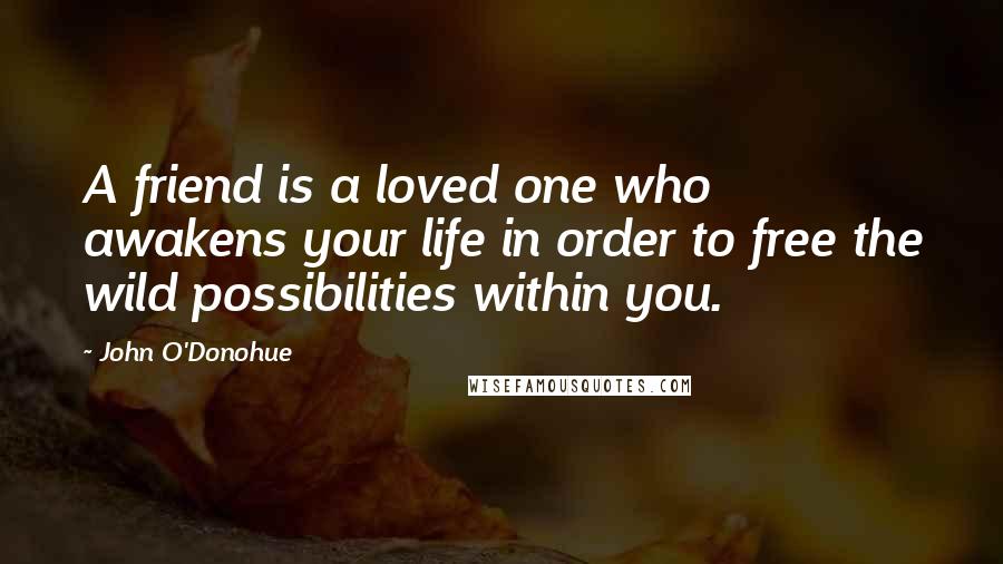 John O'Donohue Quotes: A friend is a loved one who awakens your life in order to free the wild possibilities within you.