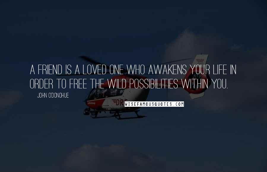 John O'Donohue Quotes: A friend is a loved one who awakens your life in order to free the wild possibilities within you.