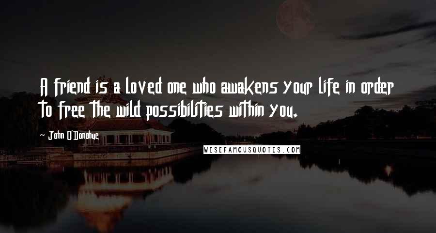 John O'Donohue Quotes: A friend is a loved one who awakens your life in order to free the wild possibilities within you.