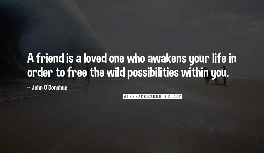 John O'Donohue Quotes: A friend is a loved one who awakens your life in order to free the wild possibilities within you.
