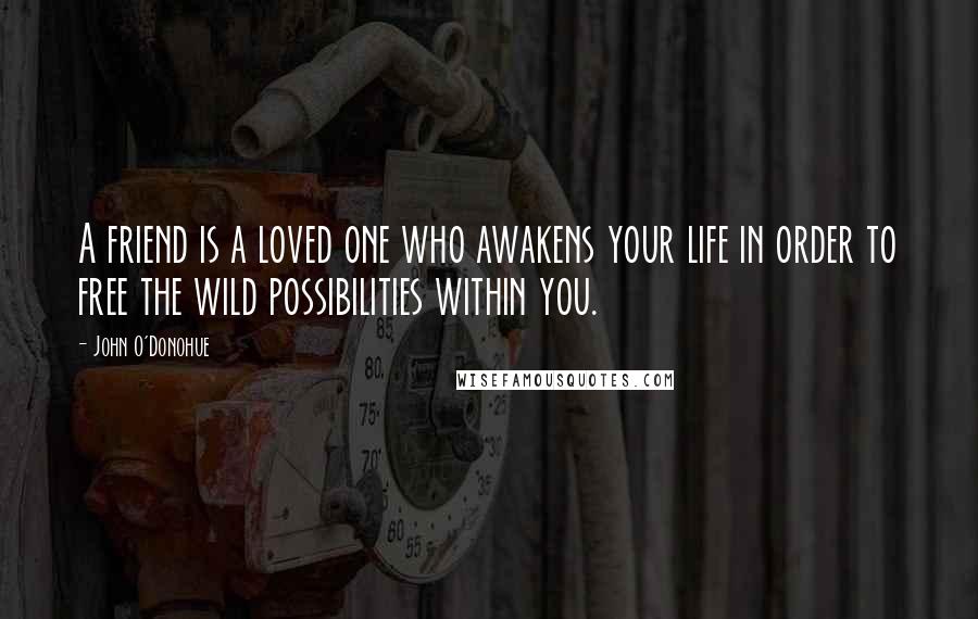 John O'Donohue Quotes: A friend is a loved one who awakens your life in order to free the wild possibilities within you.