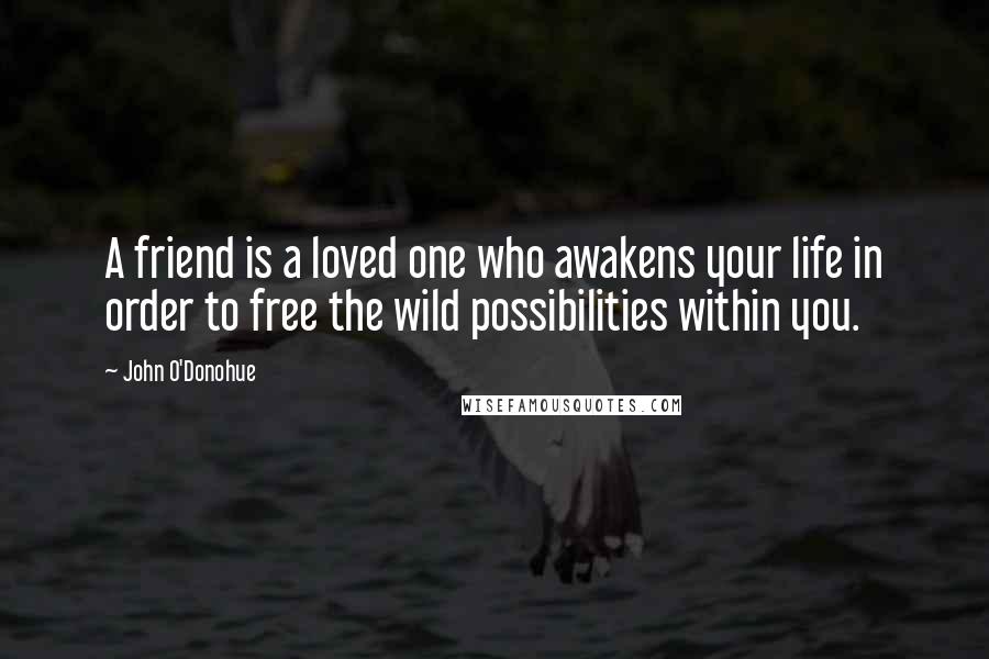 John O'Donohue Quotes: A friend is a loved one who awakens your life in order to free the wild possibilities within you.