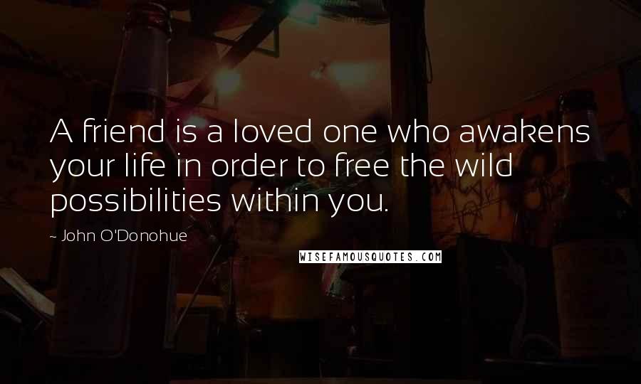 John O'Donohue Quotes: A friend is a loved one who awakens your life in order to free the wild possibilities within you.