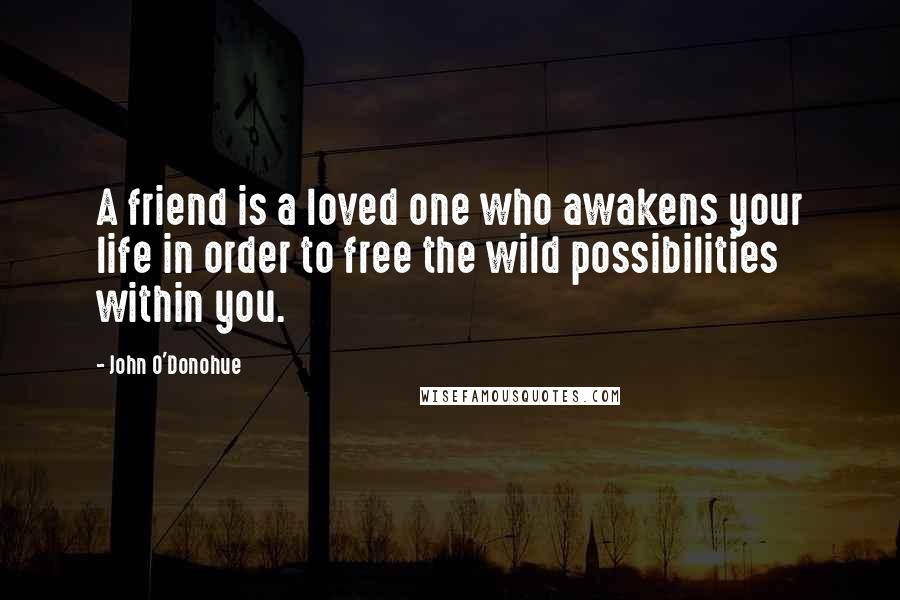 John O'Donohue Quotes: A friend is a loved one who awakens your life in order to free the wild possibilities within you.