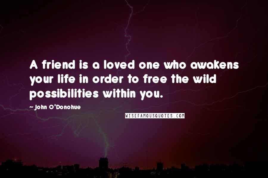 John O'Donohue Quotes: A friend is a loved one who awakens your life in order to free the wild possibilities within you.