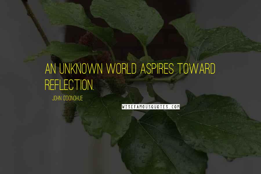 John O'Donohue Quotes: An unknown world aspires toward reflection.