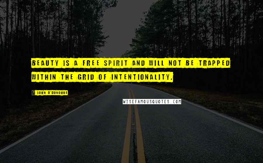 John O'Donohue Quotes: Beauty is a free spirit and will not be trapped within the grid of intentionality.