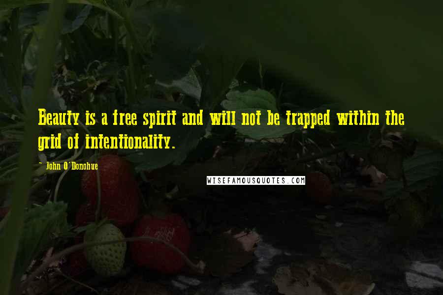 John O'Donohue Quotes: Beauty is a free spirit and will not be trapped within the grid of intentionality.