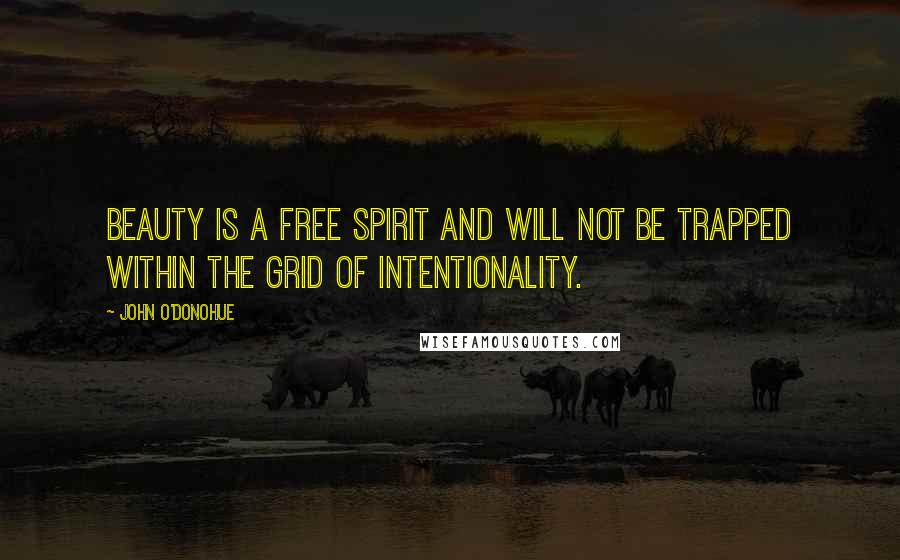 John O'Donohue Quotes: Beauty is a free spirit and will not be trapped within the grid of intentionality.