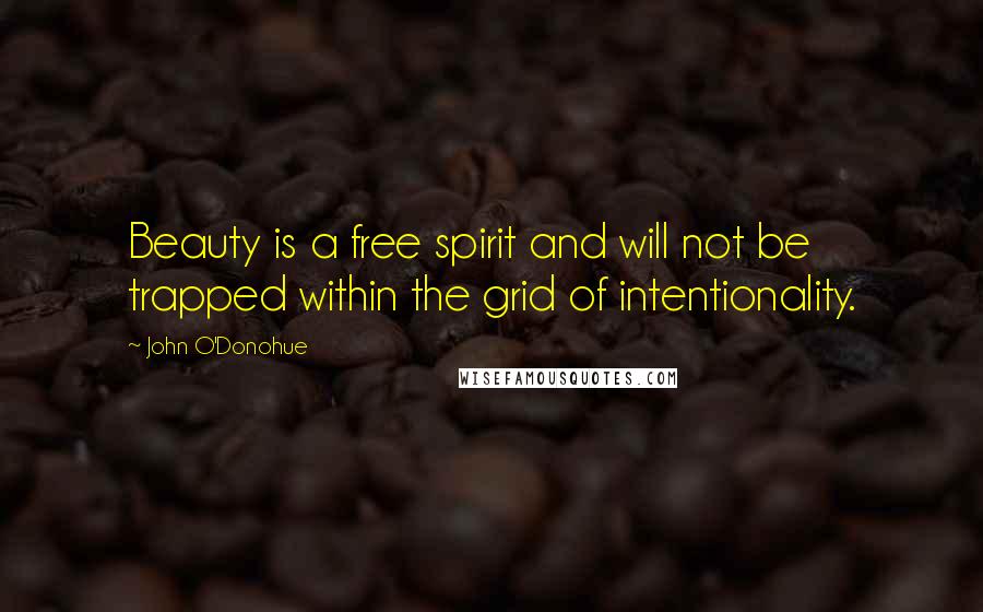 John O'Donohue Quotes: Beauty is a free spirit and will not be trapped within the grid of intentionality.