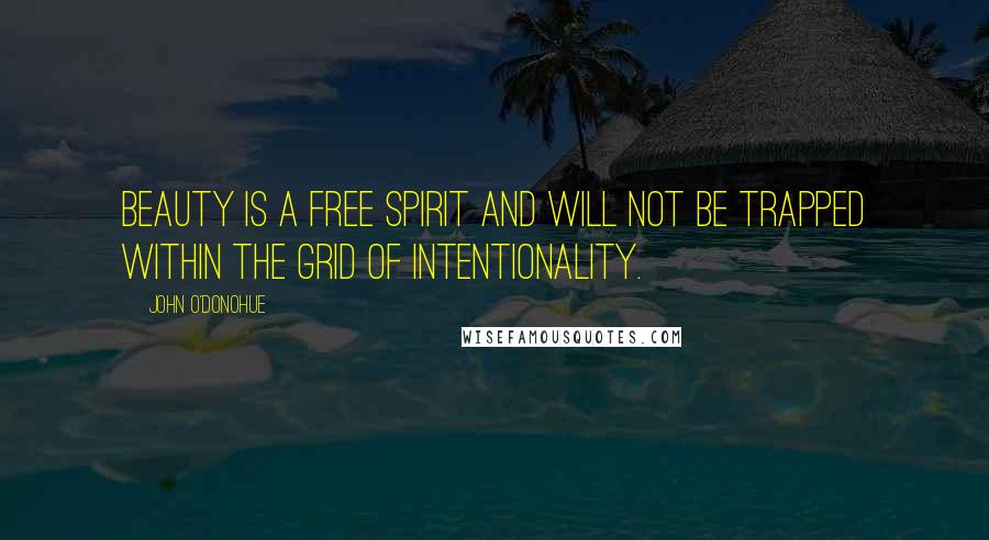 John O'Donohue Quotes: Beauty is a free spirit and will not be trapped within the grid of intentionality.