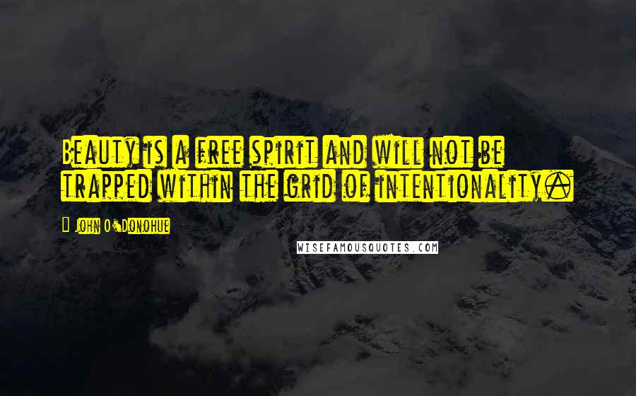 John O'Donohue Quotes: Beauty is a free spirit and will not be trapped within the grid of intentionality.