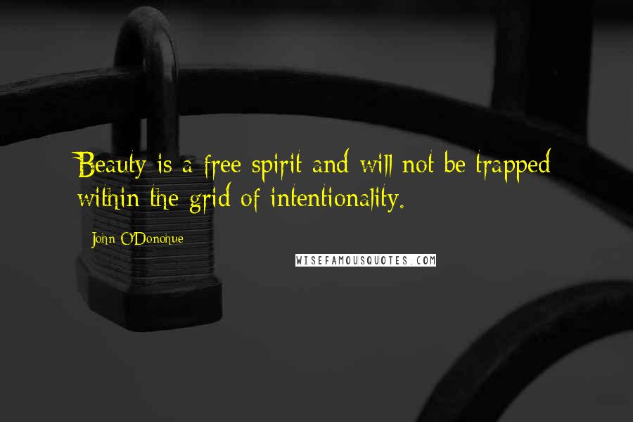 John O'Donohue Quotes: Beauty is a free spirit and will not be trapped within the grid of intentionality.