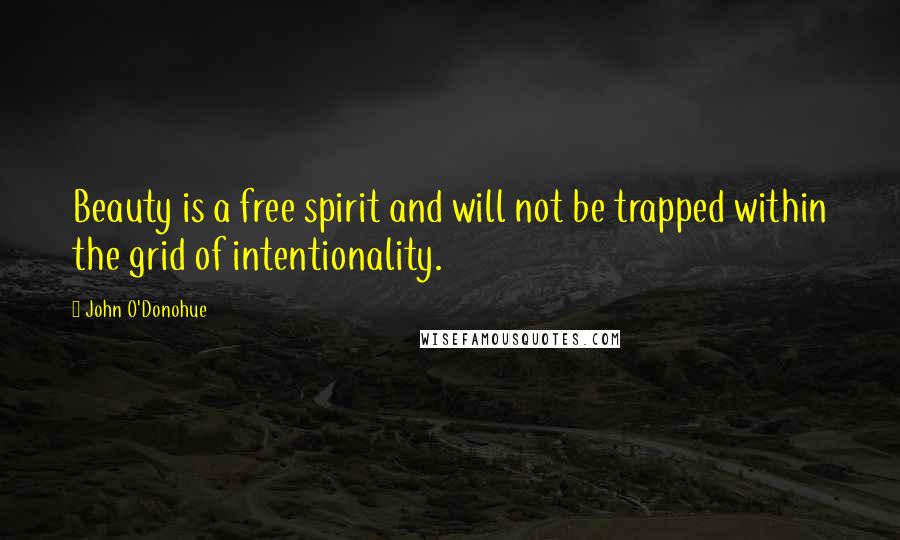 John O'Donohue Quotes: Beauty is a free spirit and will not be trapped within the grid of intentionality.