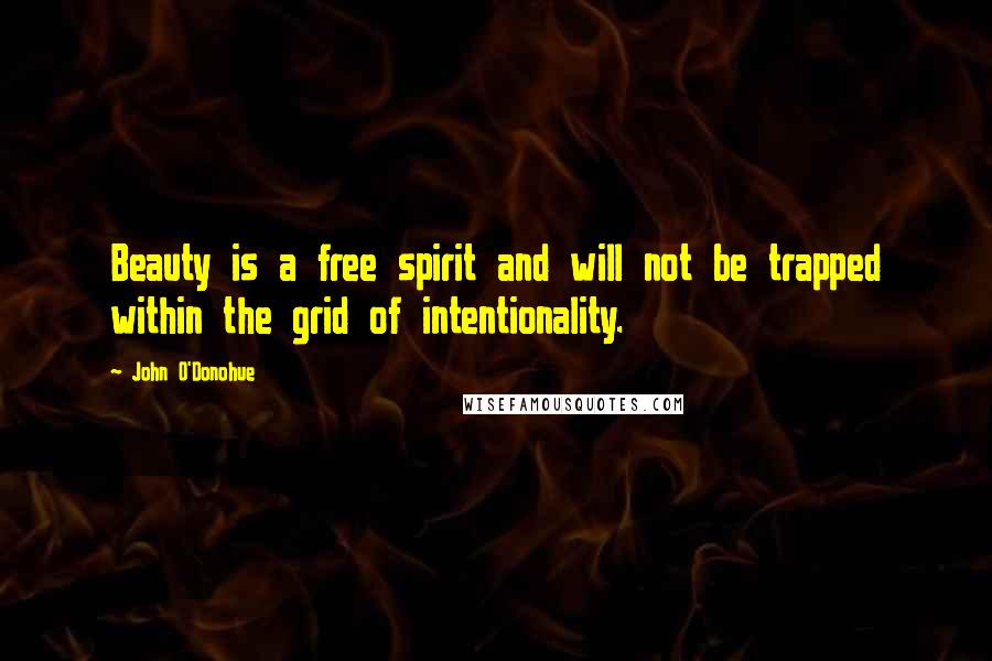 John O'Donohue Quotes: Beauty is a free spirit and will not be trapped within the grid of intentionality.