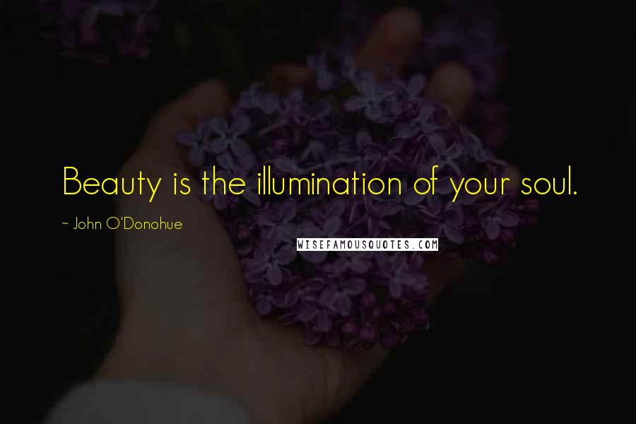 John O'Donohue Quotes: Beauty is the illumination of your soul.