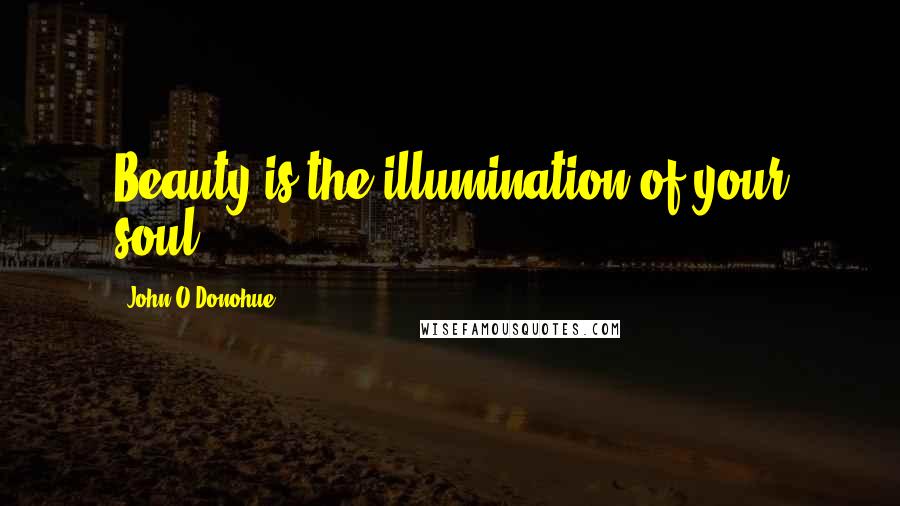 John O'Donohue Quotes: Beauty is the illumination of your soul.