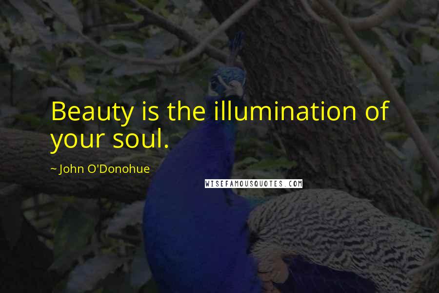 John O'Donohue Quotes: Beauty is the illumination of your soul.