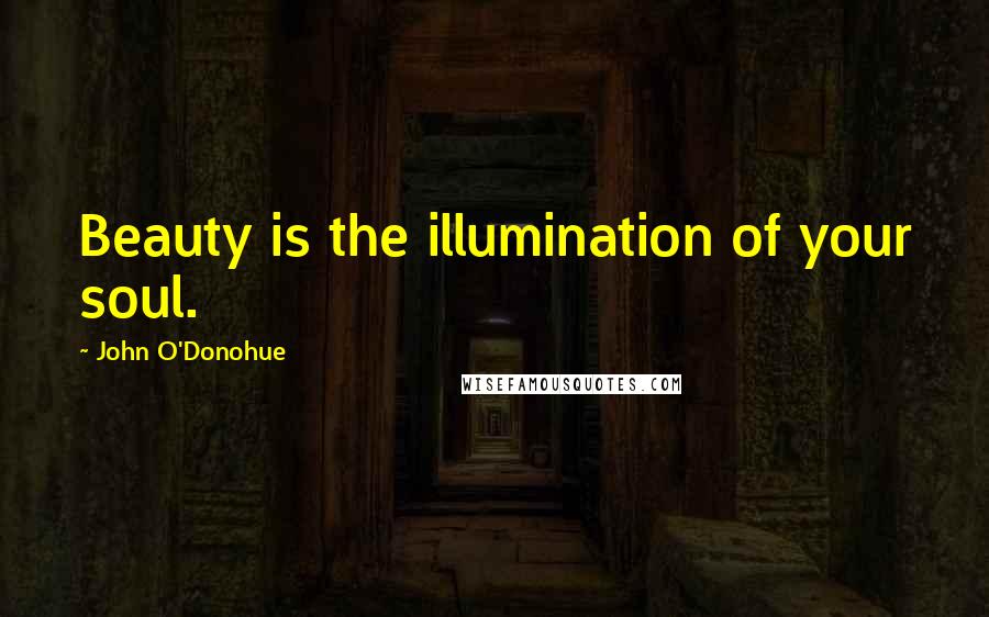 John O'Donohue Quotes: Beauty is the illumination of your soul.