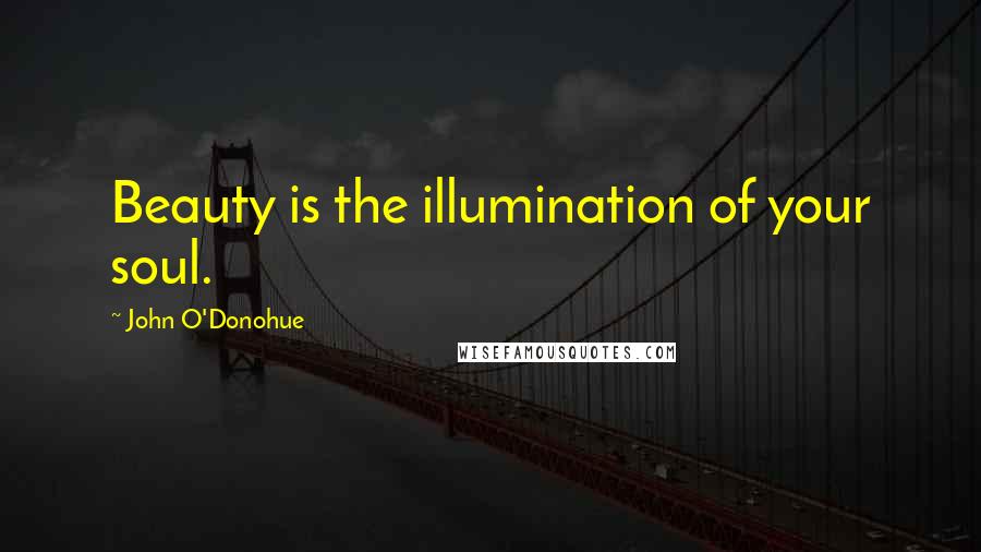 John O'Donohue Quotes: Beauty is the illumination of your soul.