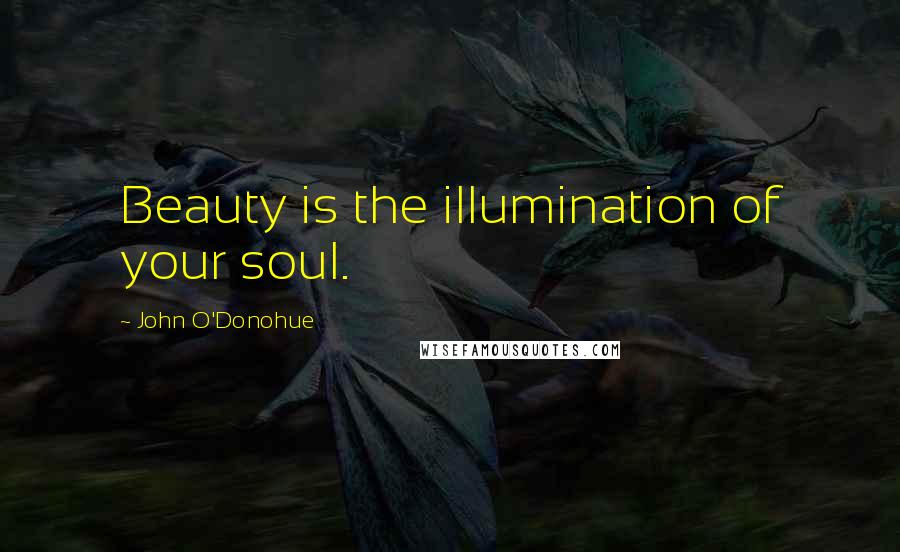 John O'Donohue Quotes: Beauty is the illumination of your soul.