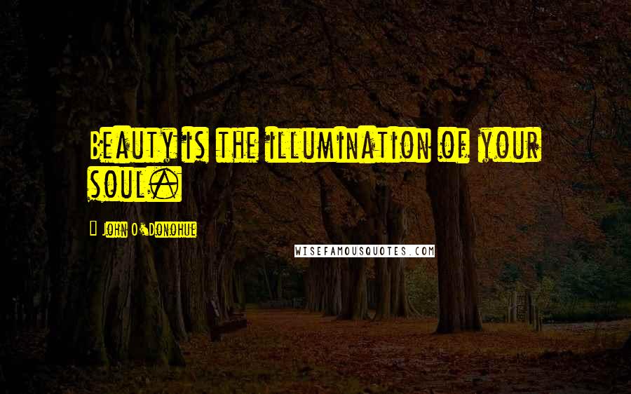 John O'Donohue Quotes: Beauty is the illumination of your soul.