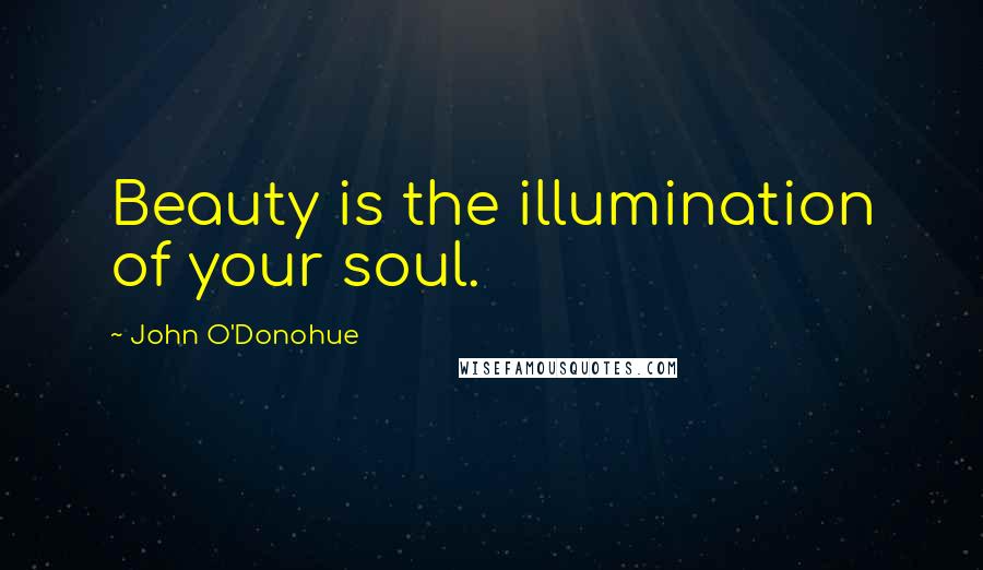 John O'Donohue Quotes: Beauty is the illumination of your soul.