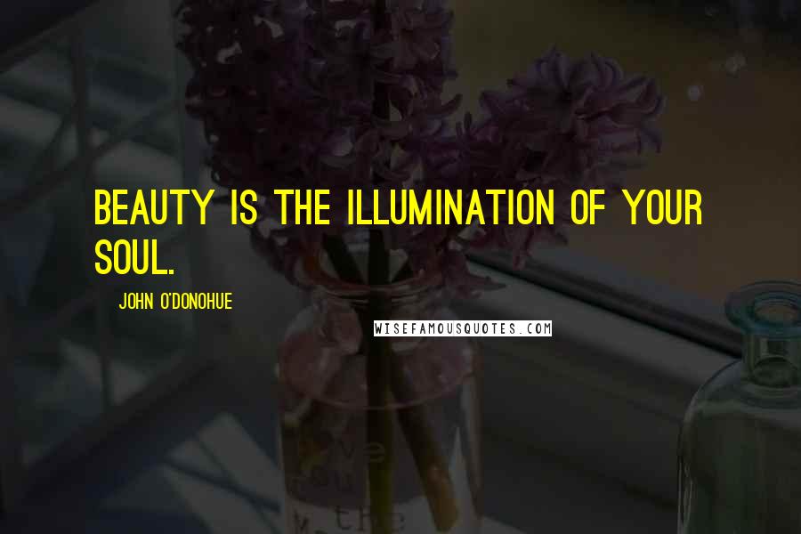 John O'Donohue Quotes: Beauty is the illumination of your soul.