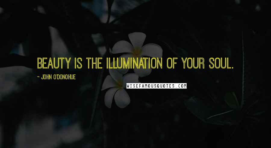 John O'Donohue Quotes: Beauty is the illumination of your soul.