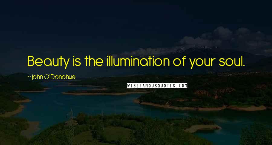 John O'Donohue Quotes: Beauty is the illumination of your soul.