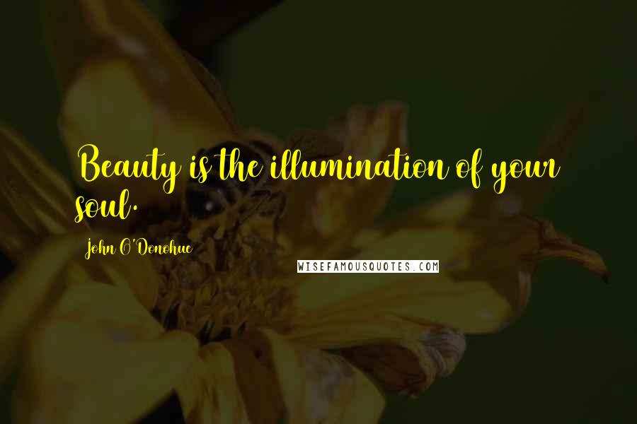 John O'Donohue Quotes: Beauty is the illumination of your soul.