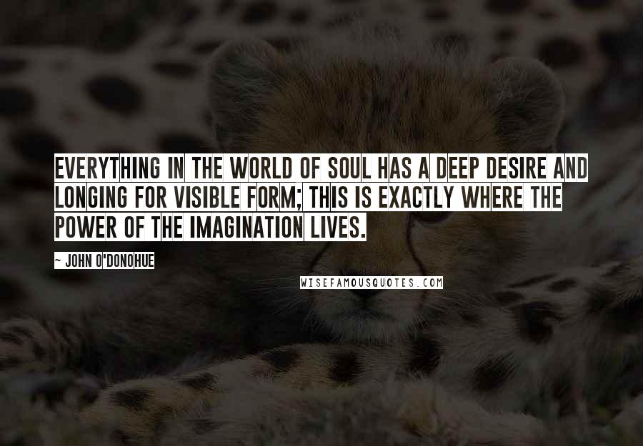 John O'Donohue Quotes: Everything in the world of soul has a deep desire and longing for visible form; this is exactly where the power of the imagination lives.