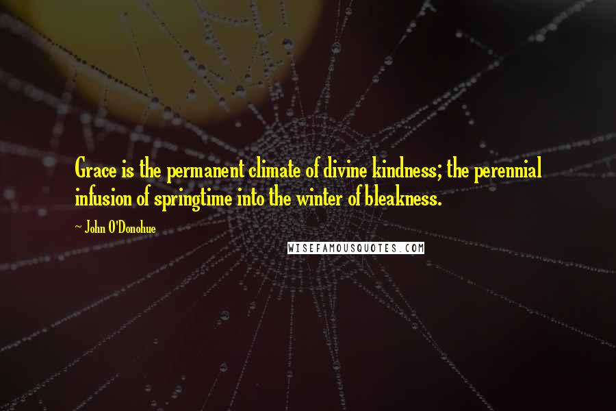 John O'Donohue Quotes: Grace is the permanent climate of divine kindness; the perennial infusion of springtime into the winter of bleakness.