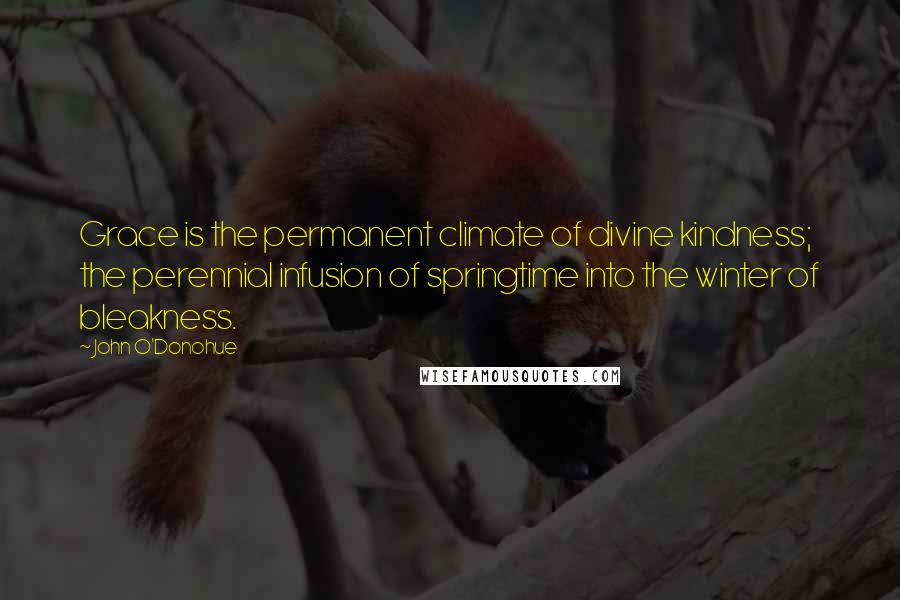 John O'Donohue Quotes: Grace is the permanent climate of divine kindness; the perennial infusion of springtime into the winter of bleakness.