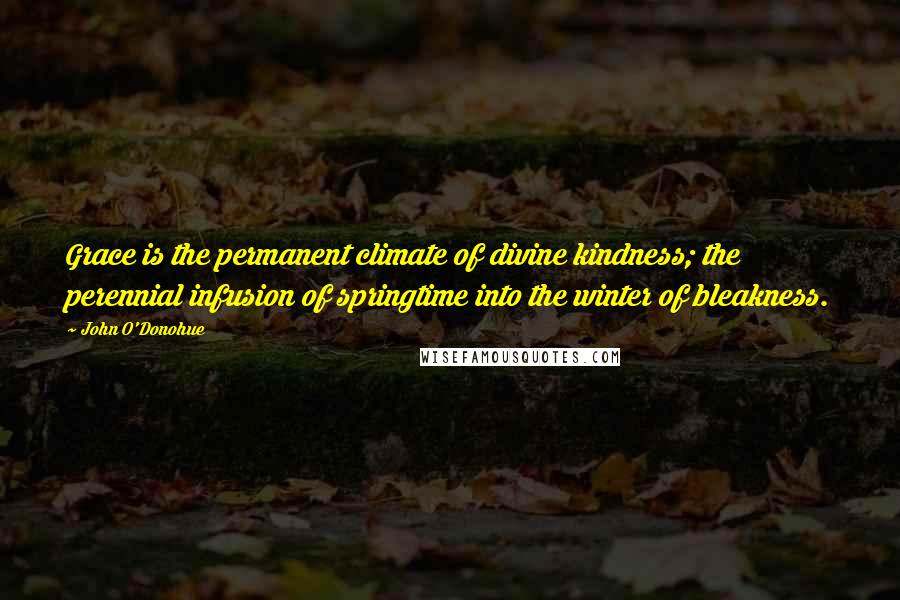 John O'Donohue Quotes: Grace is the permanent climate of divine kindness; the perennial infusion of springtime into the winter of bleakness.