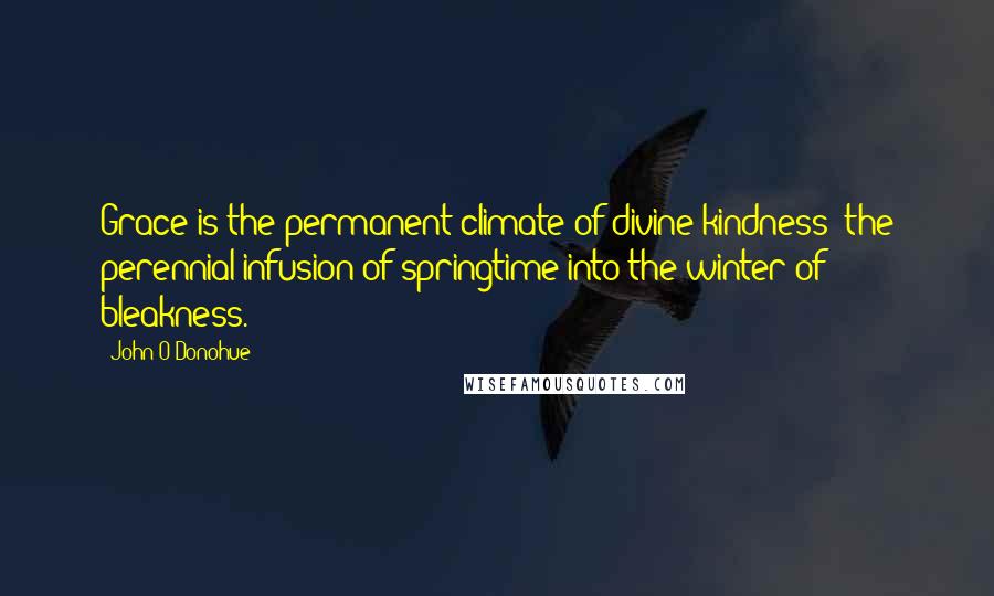 John O'Donohue Quotes: Grace is the permanent climate of divine kindness; the perennial infusion of springtime into the winter of bleakness.