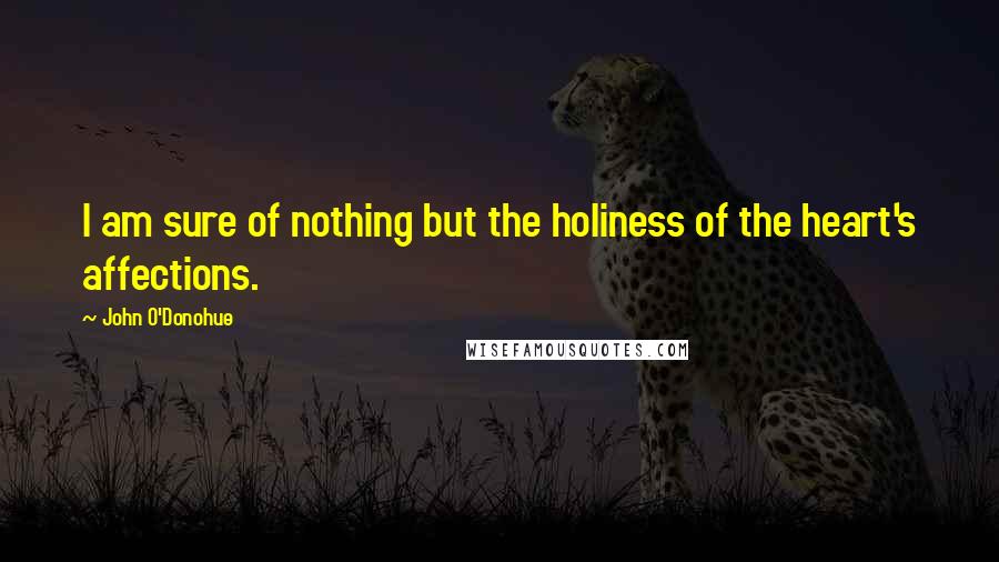 John O'Donohue Quotes: I am sure of nothing but the holiness of the heart's affections.