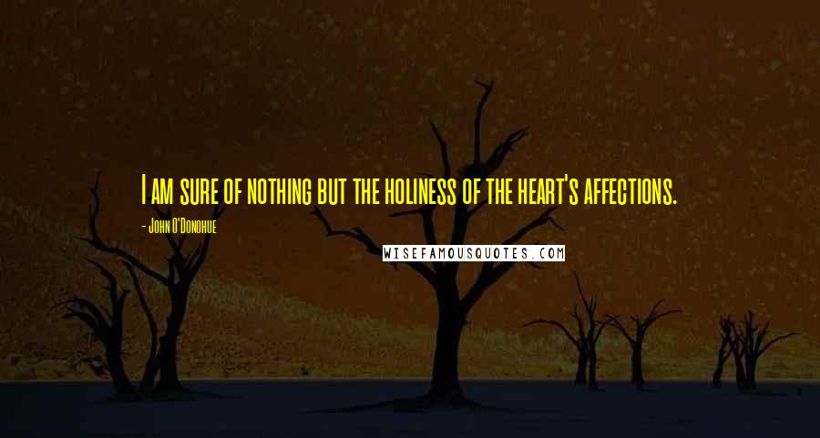 John O'Donohue Quotes: I am sure of nothing but the holiness of the heart's affections.