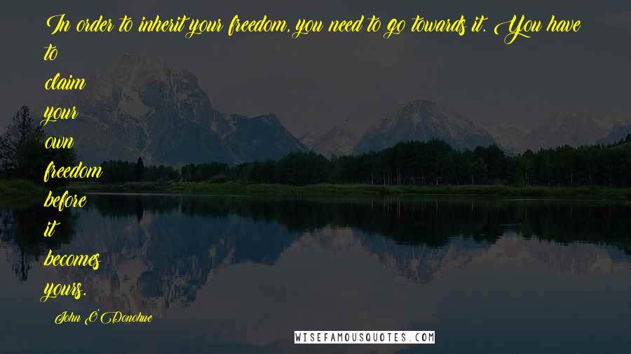 John O'Donohue Quotes: In order to inherit your freedom, you need to go towards it. You have to claim your own freedom before it becomes yours.